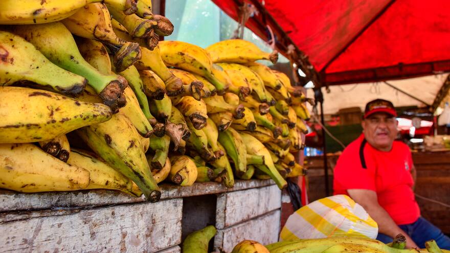 Plátano, yuca y pollo, lo que más subió de precio en junio