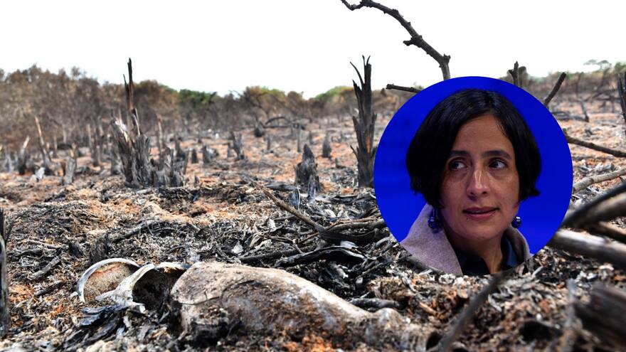 Minambiente anuncia que interpondrá acción penal por incendio en Isla Salamanca