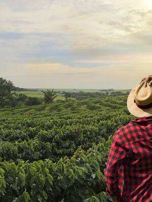 Brasil, ejemplo a seguir | Columna de Indalecio Dangond B.