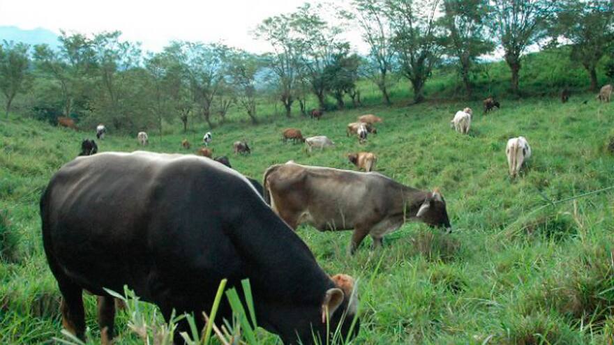 El ICA instaló puesto de control sanitario y fitosanitario en Suan