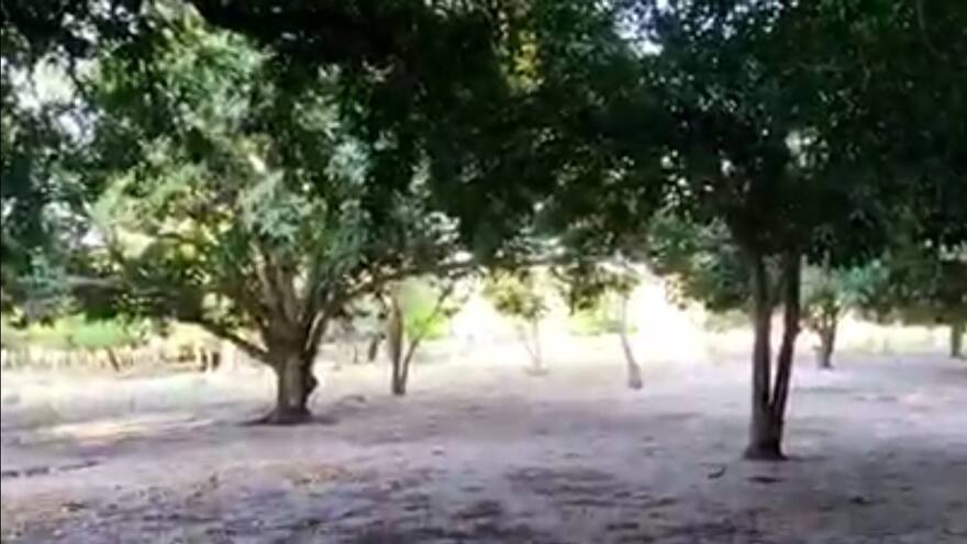 Encuentran el cuerpo sin vida de un hombre en finca de Soledad