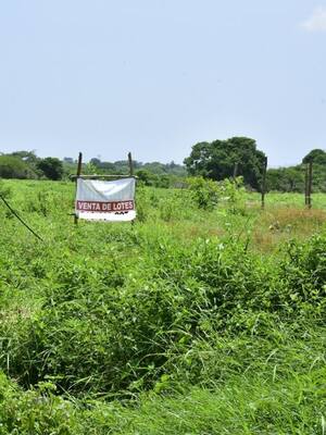 Líos de Tierras| columna de Simón Gaviria