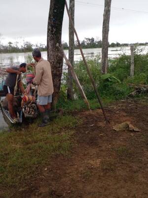 Del dicho al hecho | Columna de Miguel Vergara
