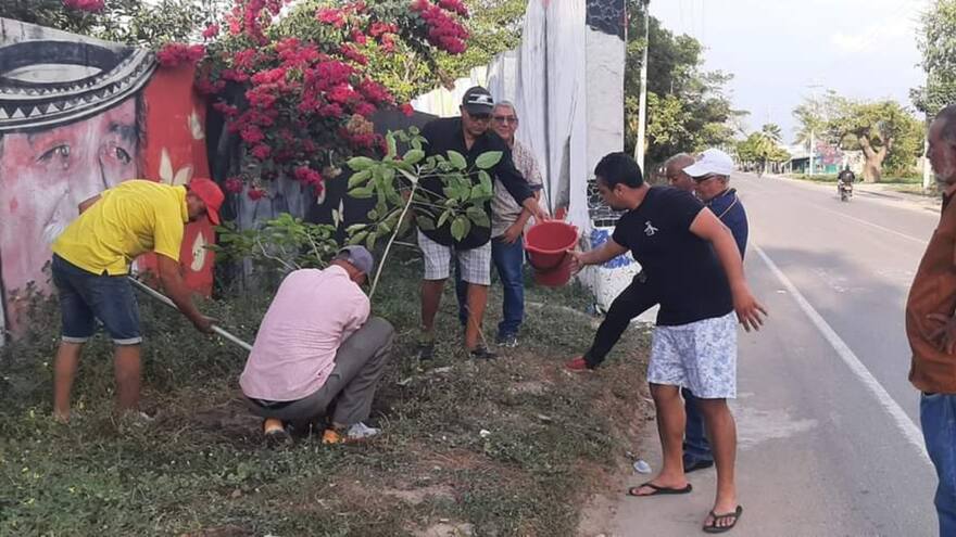 Decenas de cañaguates serán sembrados en Aracataca en homenaje a Gabo