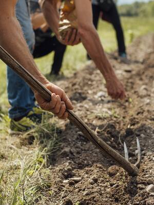 Sin marcha atrás| columna de Emilio José Archila