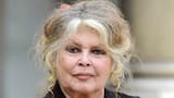 Muere la actriz y cantante Brigitte Bardot, icono del cine francés, a los 91 años