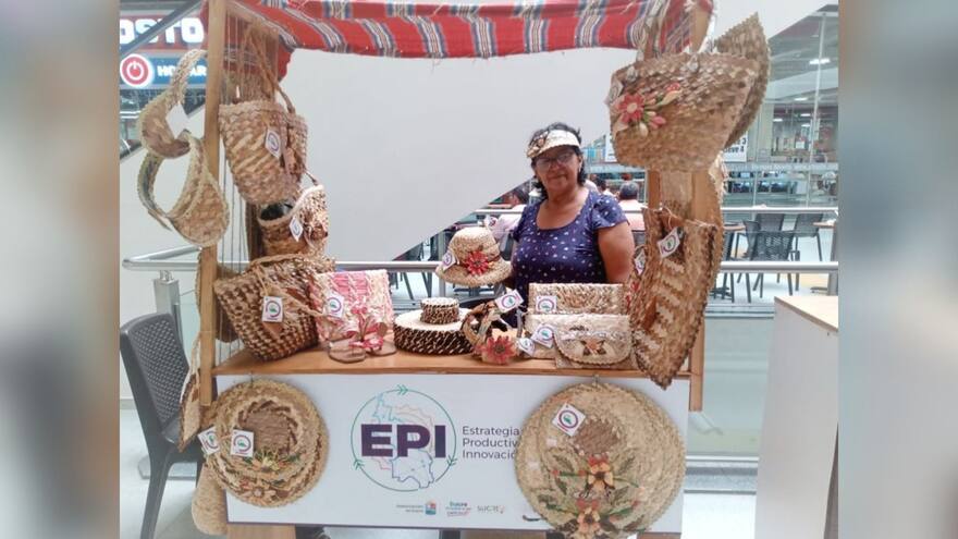 Destacan a la EPI de la Gobernación de Sucre como 'buena práctica' dentro del índice de mercado laboral