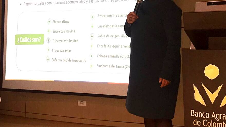 Renunció la gerente (e) del ICA, María del Pilar Ruiz