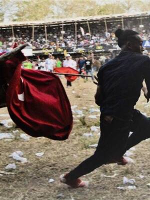 ¡Suelten el toro! | Columna de Remberto Burgos