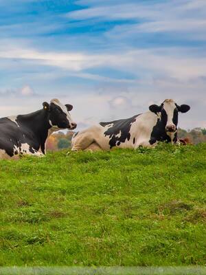 Las APPA y el mercado | Columna de José Félix Lafaurie