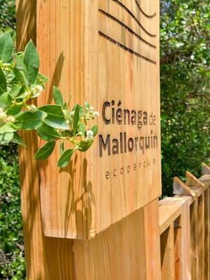 Mallorquín o el engaño de la biodiverciudad | Columna de Horacio Brieva