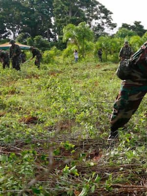 Sigue la guerra en Colombia | Columna de Néstor Rosanía