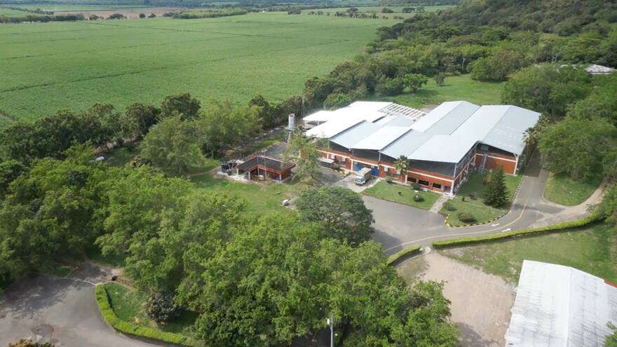 Avicultura colombiana, a exportar con la garantía de inocuidad sanitaria