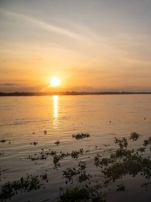 ¿Ahorrar agua dulce para los tiburones?