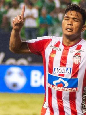 De fútbol y otras especies