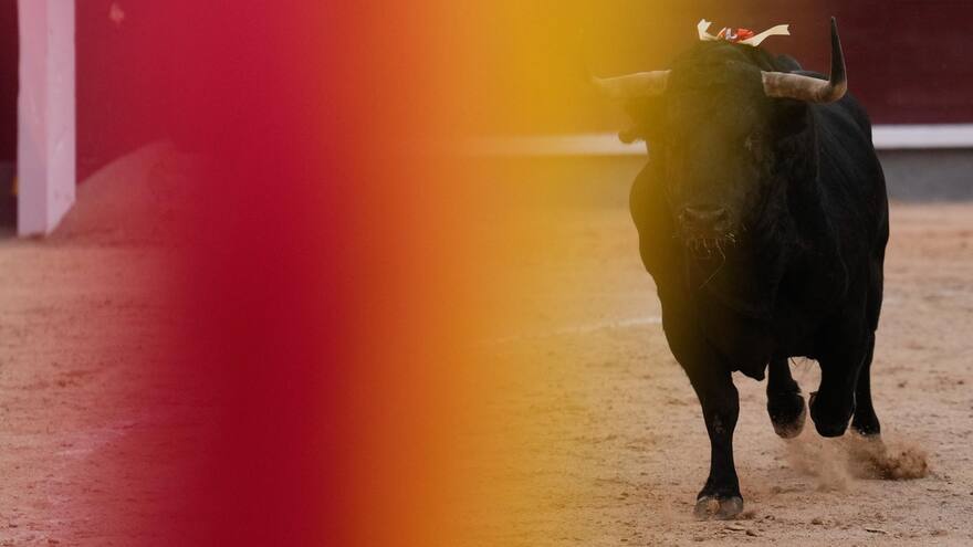 Los taurinos dicen que prohibir las corridas afecta el empleo y la economía