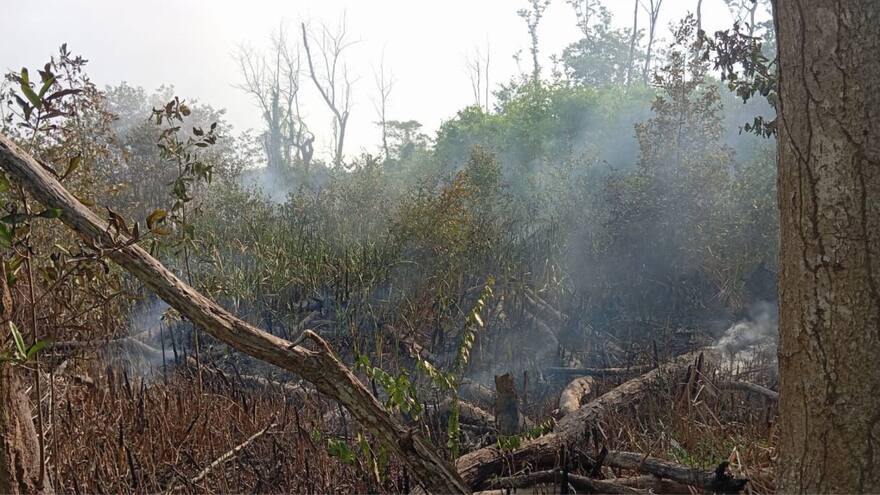 Un nuevo reporte de quemas en el Parque Isla Salamanca alerta a las autoridades