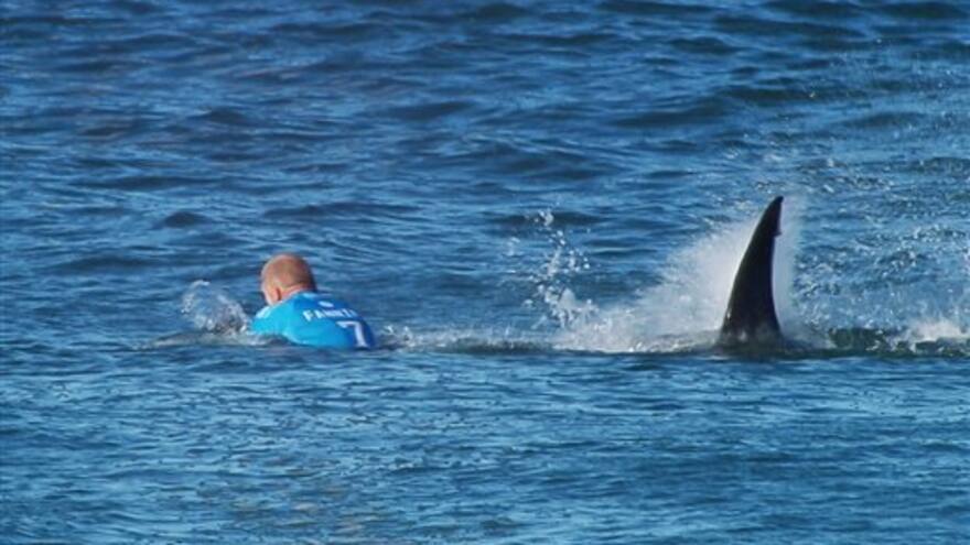Surfista repele ataque de tiburón en plena competencia