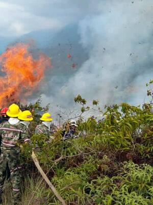 Crisis climática y de liderazgo | Columna de Tatiana Dangond