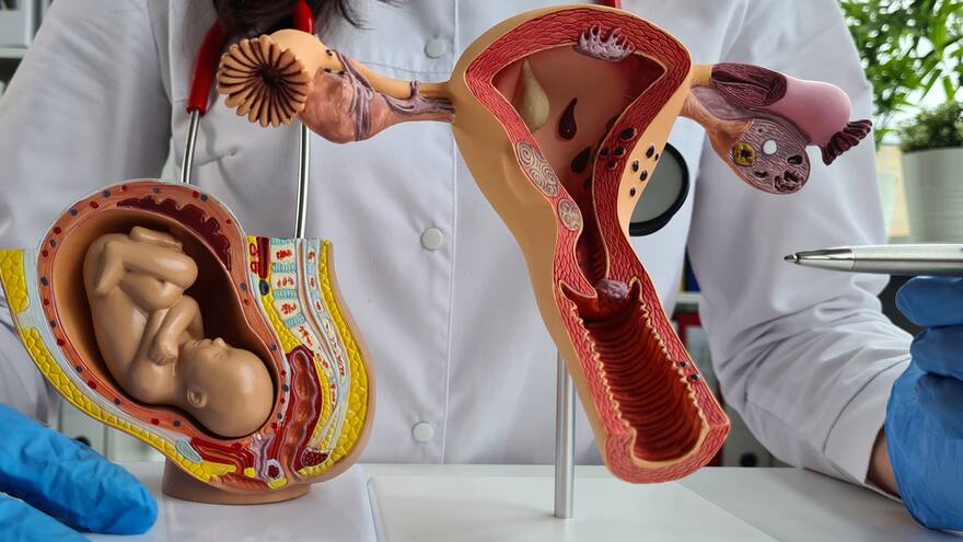 Aborto legal ahora es una opción desde el hogar