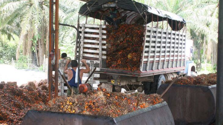 'Colombia tiene que ser líder en la producción de biocombustibles': Minagricultura