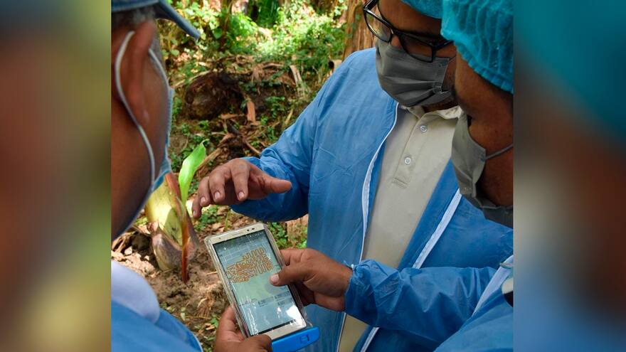 Satelitalmente monitorean fincas bananeras en la costa Caribe