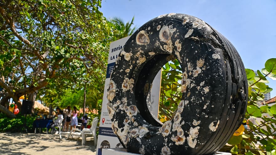 La llanta que cruzó mares para convertirse en un ejemplo de sostenibilidad