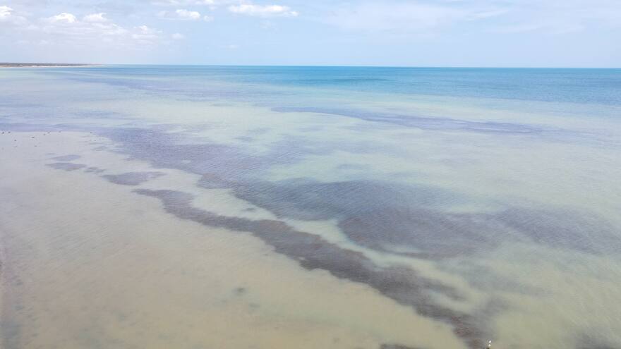 Gobierno Petro en La Guajira: Anuncian proyecto de bonos de carbono azul para conservación de pastos marinos
