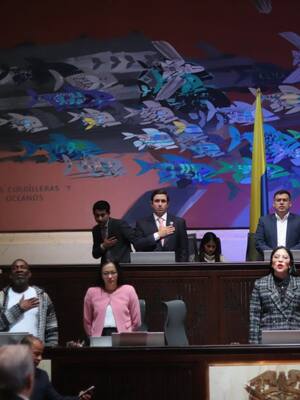 Si yo fuera Representante a la Cámara.