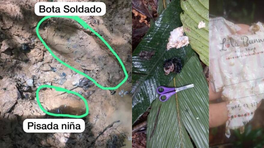Tras un mes del accidente, así avanza la búsqueda de niños en selva del Guaviare