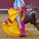 ¿Qué sanciones se aplicarán a quienes violen la ley que prohíbe las corridas de toros, corralejas y peleas de gallos?