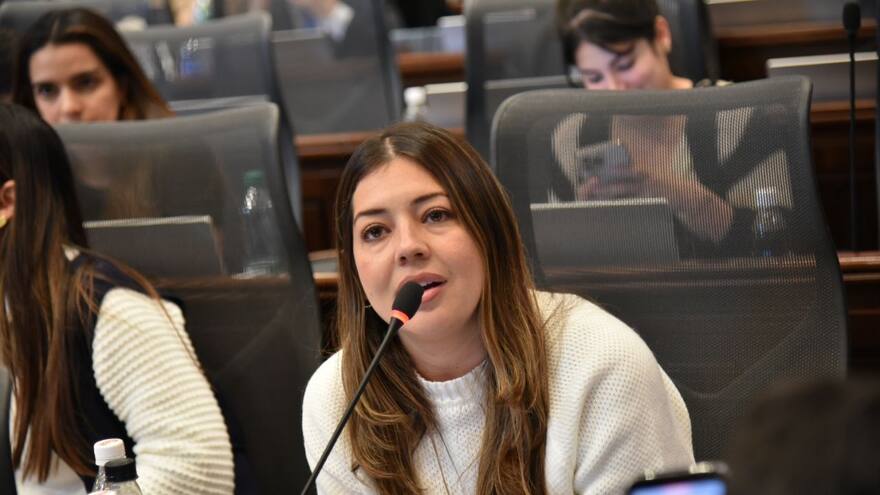 Pasa primer debate proyecto para proteger a hijos de víctimas de feminicidio