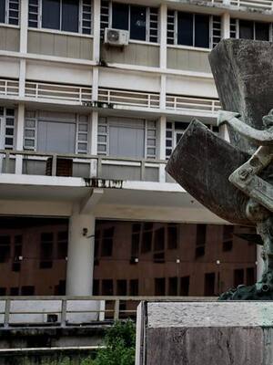 ¿Dónde está el cóndor de Telecom?| Columna de Horacio Brieva