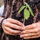 El cambio climático, la tercera causa de pérdida de diversidad, amenaza miles de especies