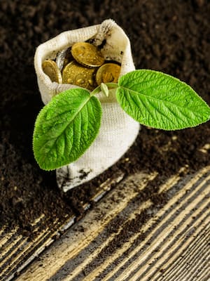 $48 billones después… el fracaso que nadie quiere admitir