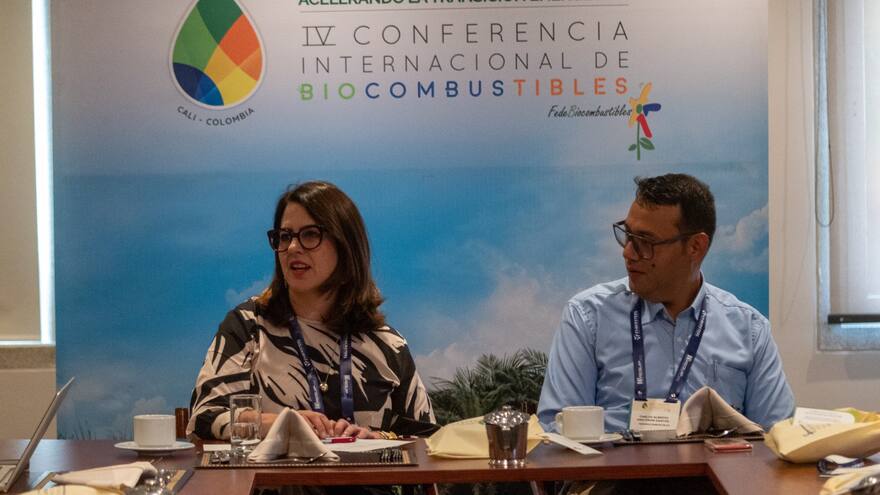 Transición energética: Carolina Rojas, presidenta de Fedebiocombustibles, dijo que el Gobierno debe plantear un marco regulatorio de biocombustibles