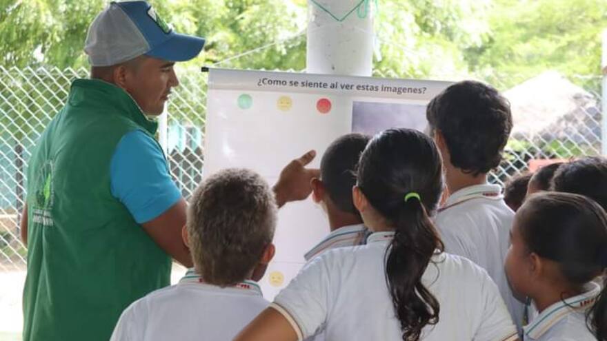 Promueven campaña educativa para la conservación de los felinos en La Mojana