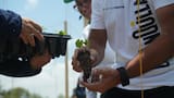 Barranquilla obtuvo el nivel Oro en la certificación LEED for Cities