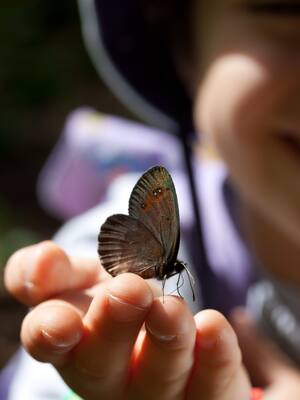 Un ejercicio de nostalgia | Columna de Orlando Araújo