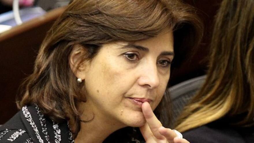 Embajador de EEUU no puede opinar de asuntos internos: canciller Holguín