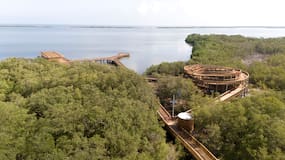 Barranquilla fue premiada como el Mejor Destino Creativo del mundo en los Creative Tourism Awards