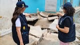Emergencia por socavación afecta viviendas en el centro de Soledad