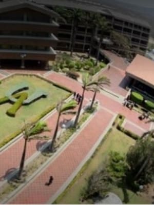 A despolitizar Uniatlántico | Columna de Cecilia López Montaño