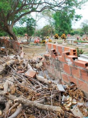 Fue un jardín. Ya no lo es | Columna de Nicolás Renowitzky R.