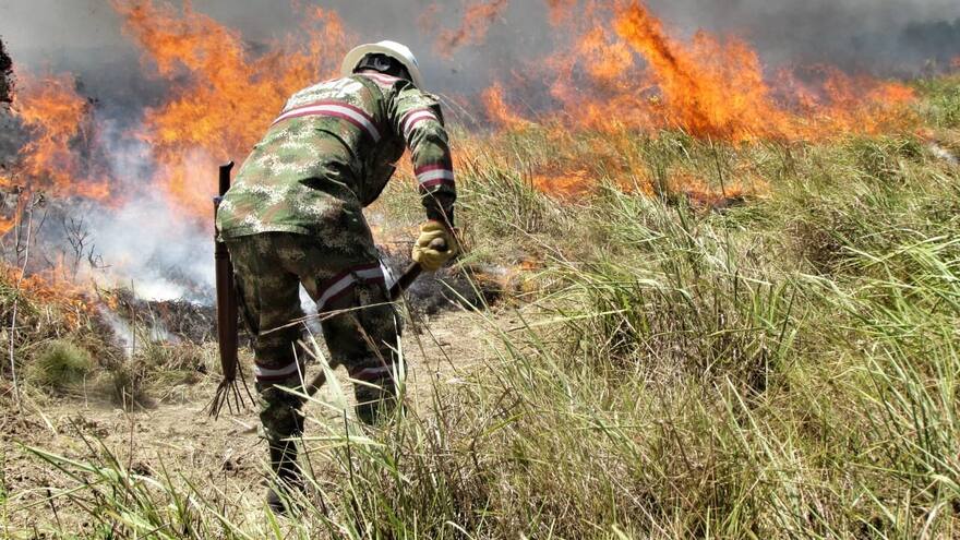 Incendio arrasa unas 3.000 hectáreas del Parque Nacional El Tuparro
