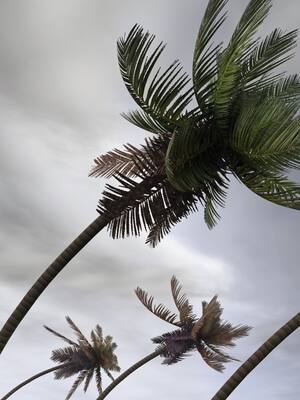 Un final de temporada “feliz” | columna de Christian Euscátegui