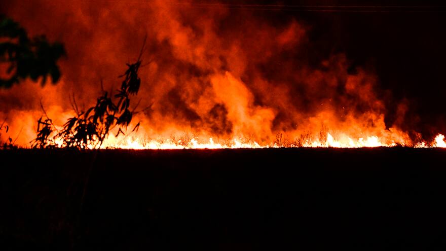 El planeta atraviesa los días más calientes en los últimos 7 años