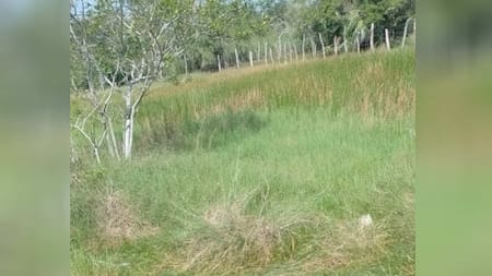 Hallan cadáver en Palmar de Varela que confirmaría masacre de ‘Tres Pelos’, su hijo y alias El Mello