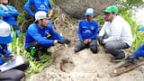 Una alianza por la conservación de las tortugas marinas en las playas de San Onofre