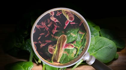 Cómo cuidamos los cultivos y su impacto